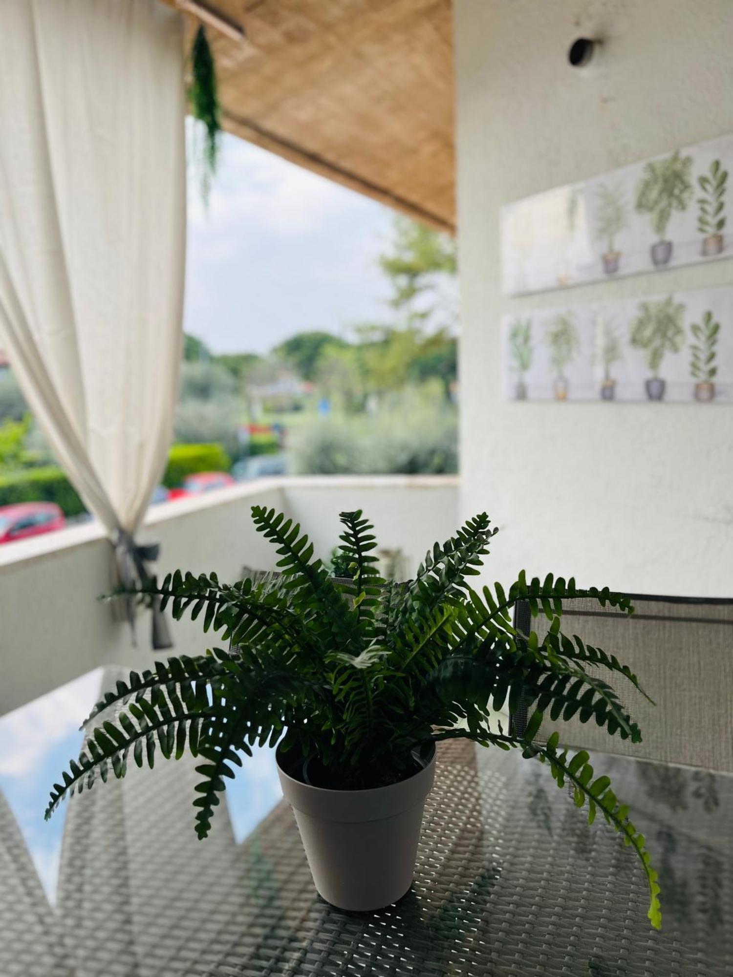 Your Familyapartment In Σιρμιόνε Εξωτερικό φωτογραφία
